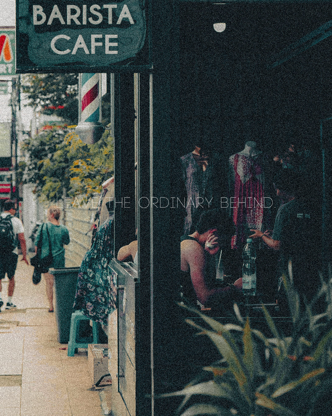 Portfolio 31